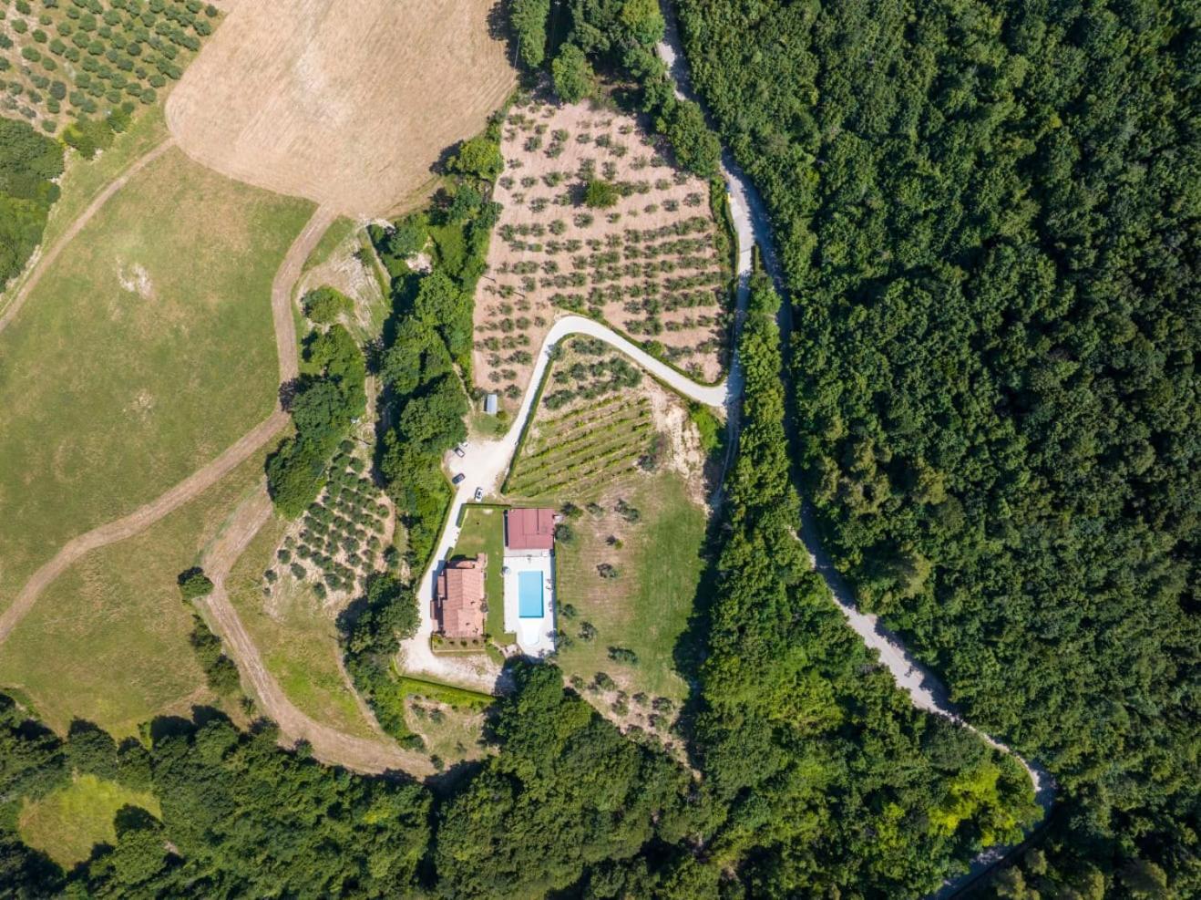 Agriturismo Isola Verde SantʼUrbano Exterior foto