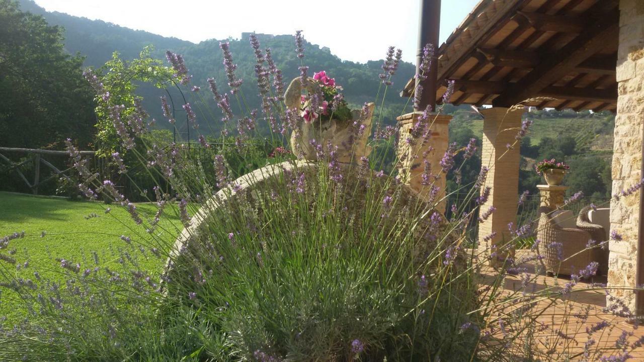 Agriturismo Isola Verde SantʼUrbano Exterior foto