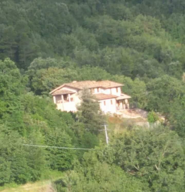 Agriturismo Isola Verde SantʼUrbano Exterior foto